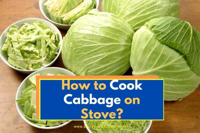 How to cook cabbage soup chinese style