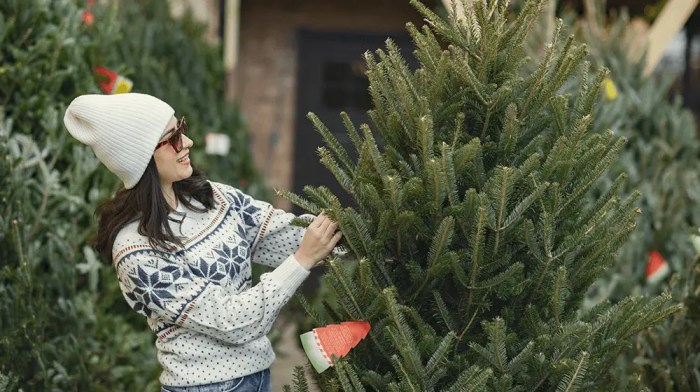  How to Start a Christmas Decorating Business – A Festive Venture